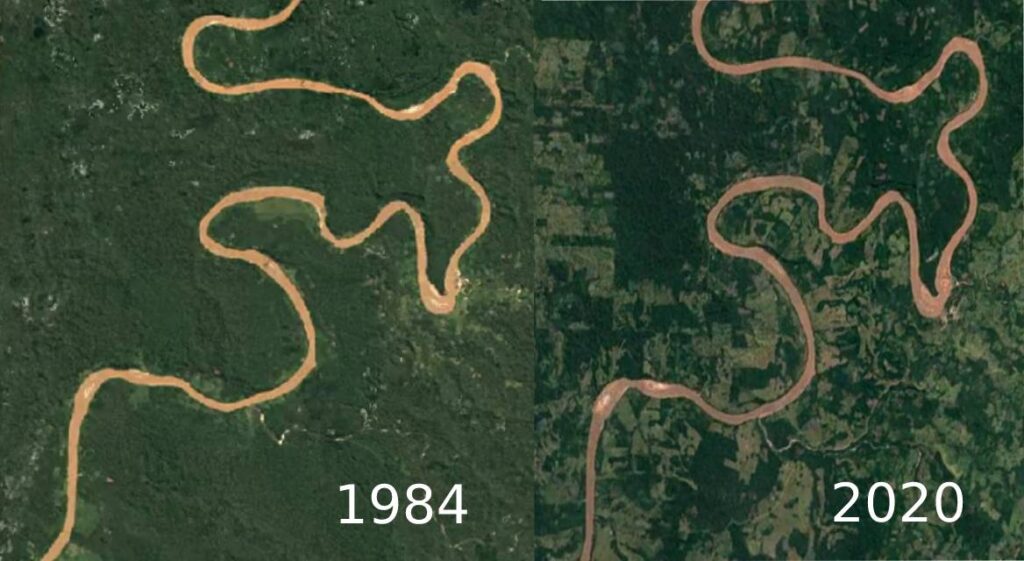 Google Earth nos muestra el ecocidio de la selva peruana